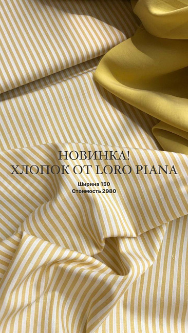 картинка Хлопок в полоску в бело-желтой гамме от Loro Piana магазин являющийся официальным дистрибьютором в России 